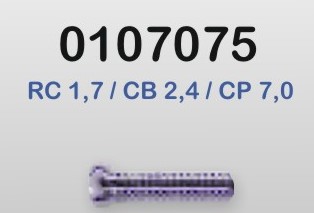 0107075-Parafuso Alpaca Korea Grande [RC1,7/CB2,4/CP4,7] Mod228 Níquel - Contém 100 Peças  - ENTREGA IMEDIATA